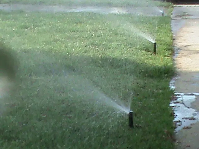 Spray head at the curb line