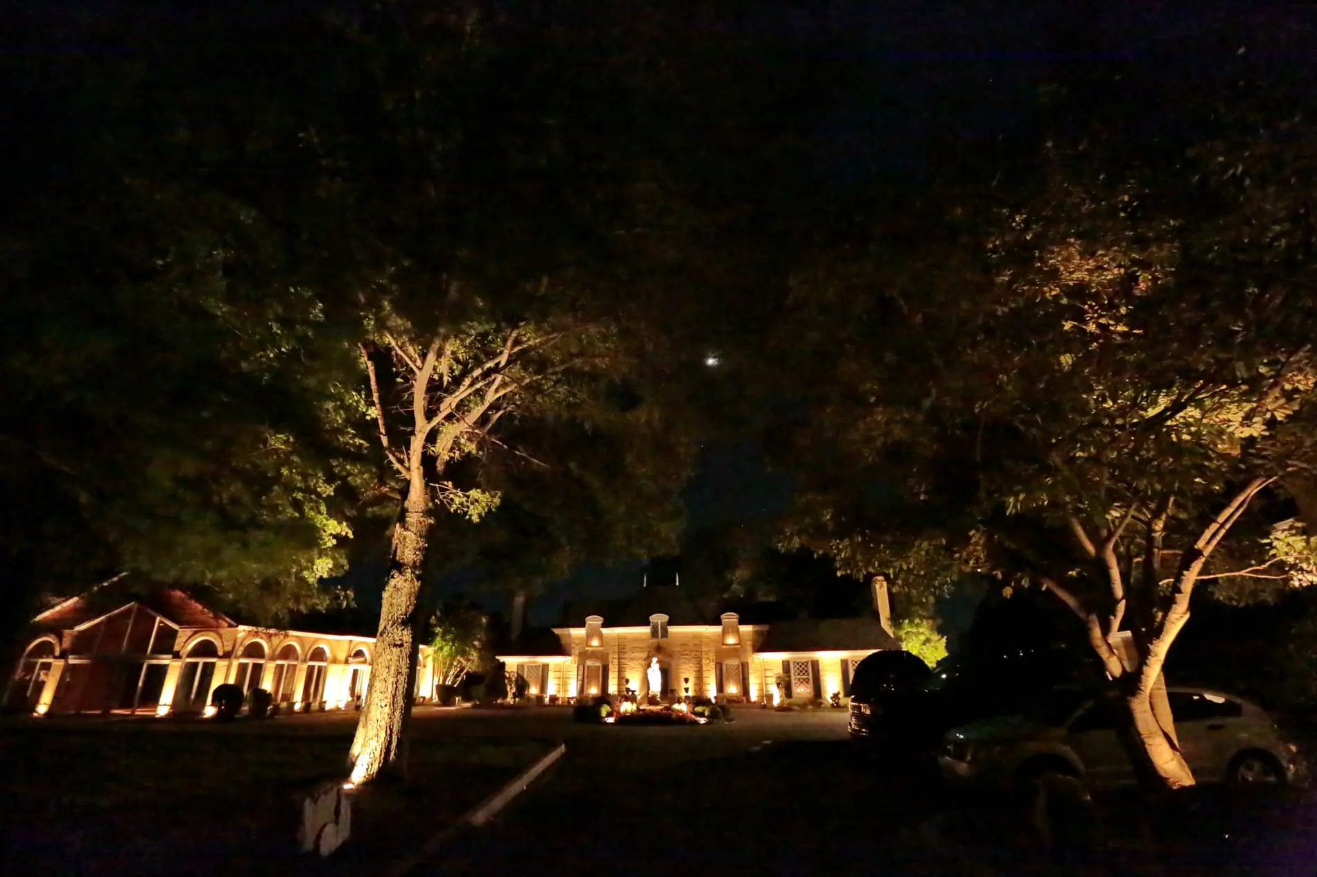 Mature trees uplit above a lit rear elevation
